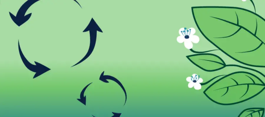 illustrated graphic showing two circles made up of arrows on the left hand side. on the right hand side of the image are four leaves and three small white flowers. 
